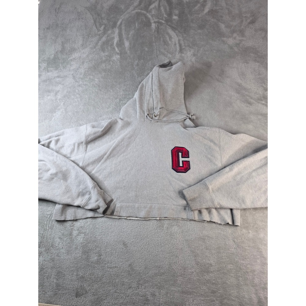 Vintage Champion Hoodie Women 2XL Gray Reverse Weave Cropped Chenille C Patch